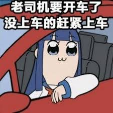 上车必备